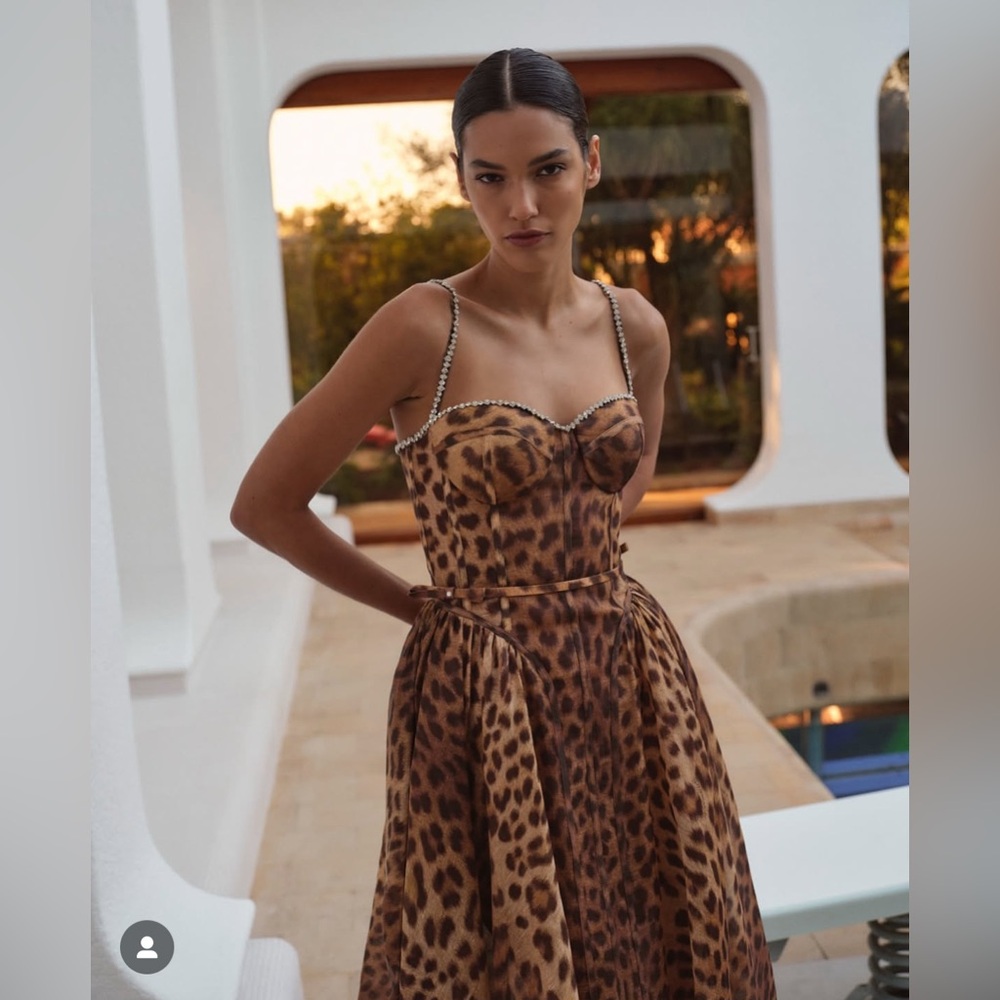 Zimmermann Leopard Print Maxi Dress